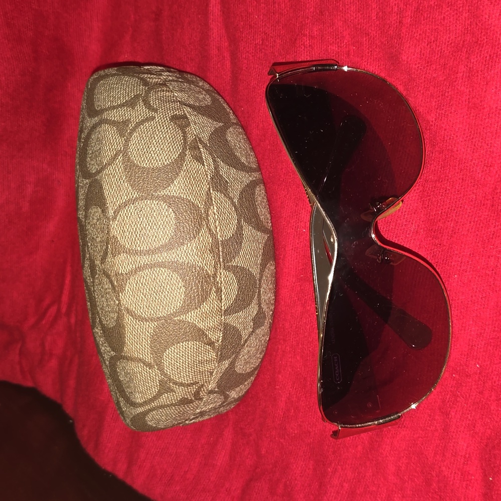 Sunglasses case and glasses